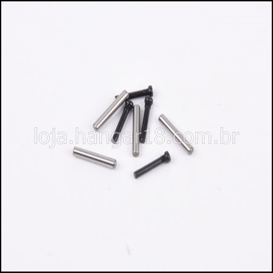 AMZ Swing Arm Pin & Screw Set