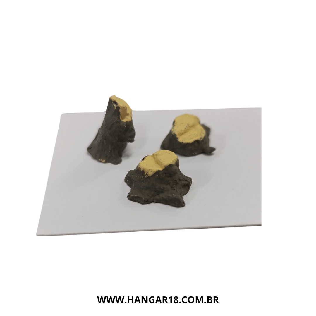 KIT 3 TRONCOS (0761) ESC HO ANJOLY